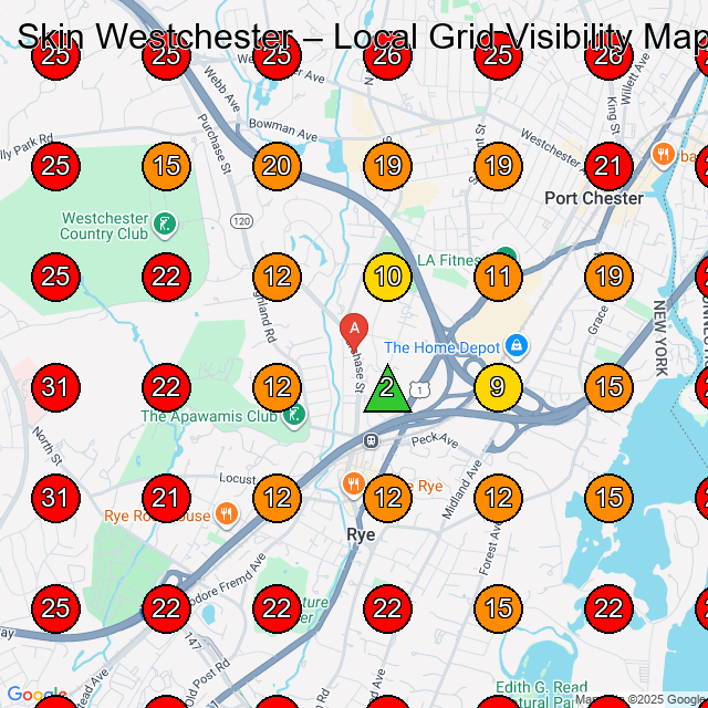 Skin Westchester GeoGrid visibility map for Medical Spa in Port Chester